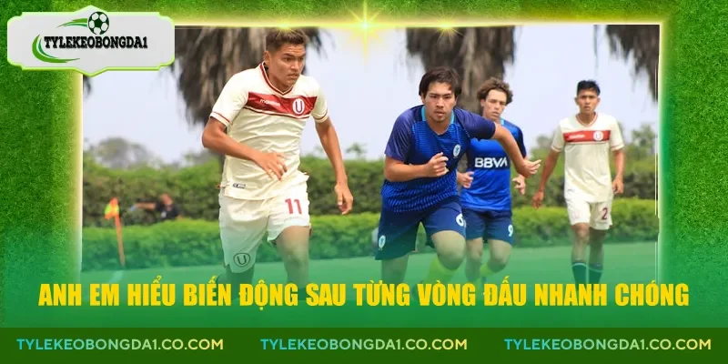 Anh em hiểu biến động sau từng vòng đấu nhanh chóng