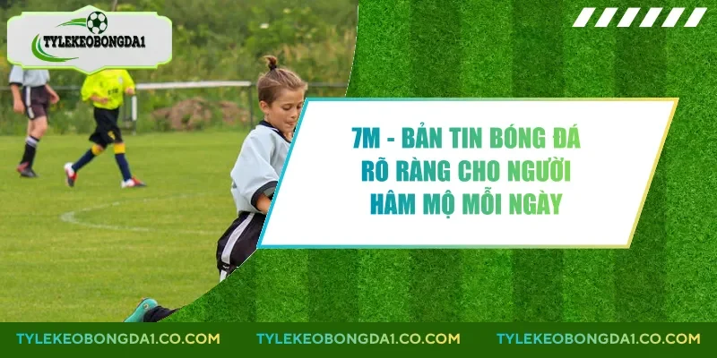 7m - Bản Tin Bóng Đá Rõ Ràng Cho Người Hâm Mộ Mỗi Ngày