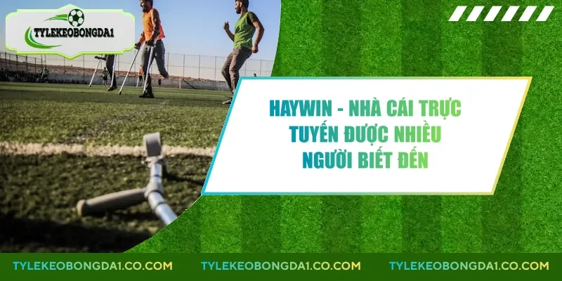 Haywin - Nhà Cái Trực Tuyến Được Nhiều Người Biết Đến