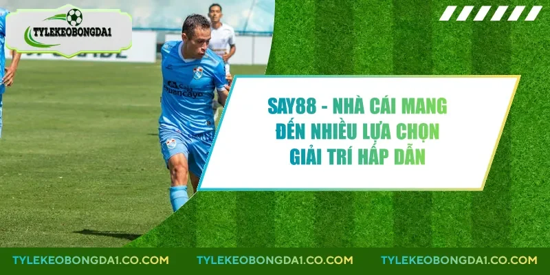 Say88 - Nhà Cái Mang Đến Nhiều Lựa Chọn Giải Trí Hấp Dẫn