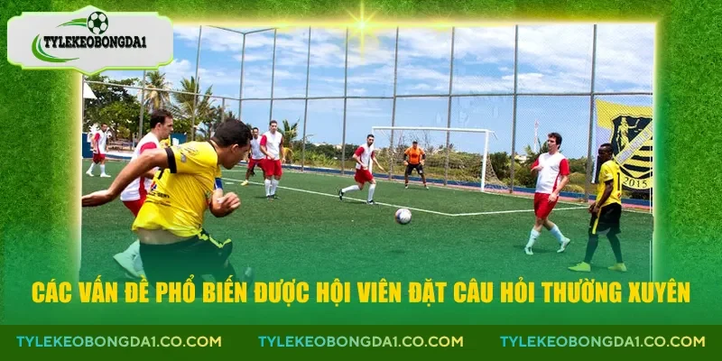 Các vấn đề phổ biến được hội viên đặt câu hỏi thường xuyên