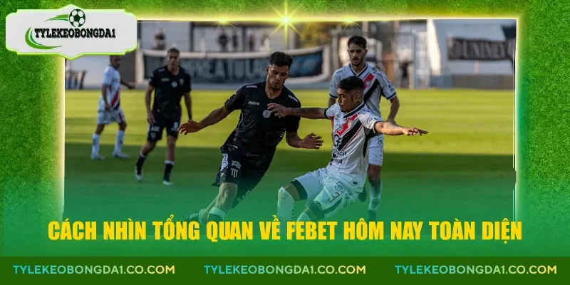 Cách nhìn tổng quan về Febet hôm nay toàn diện