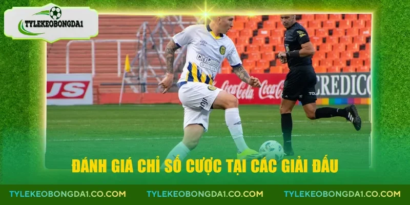 Đánh giá chỉ số cược tại các giải đấu