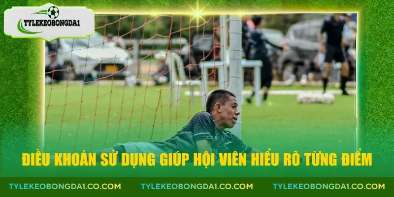 Điều khoản sử dụng giúp hội viên hiểu rõ từng điểm