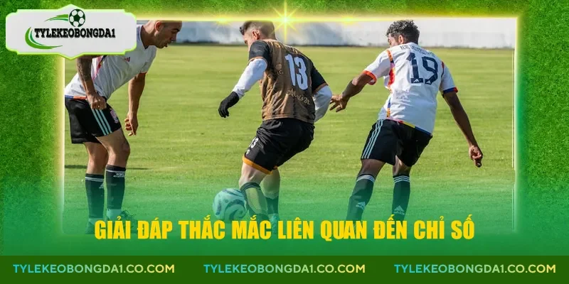 Giải đáp thắc mắc liên quan đến chỉ số