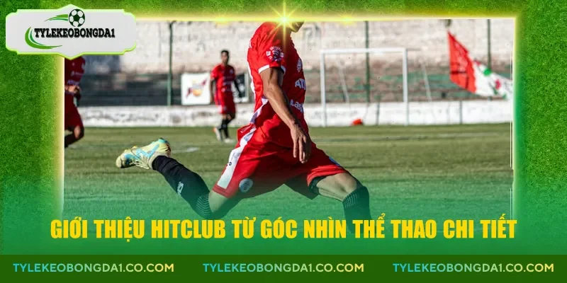 Giới thiệu Hitclub từ góc nhìn thể thao chi tiết