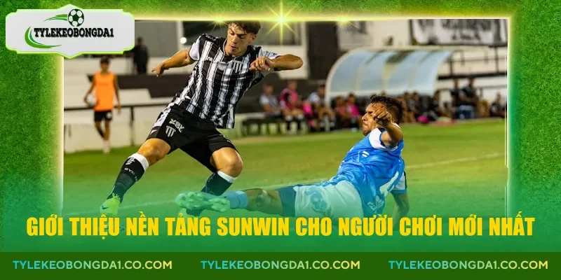Giới thiệu nền tảng Sunwin cho người chơi mới nhất