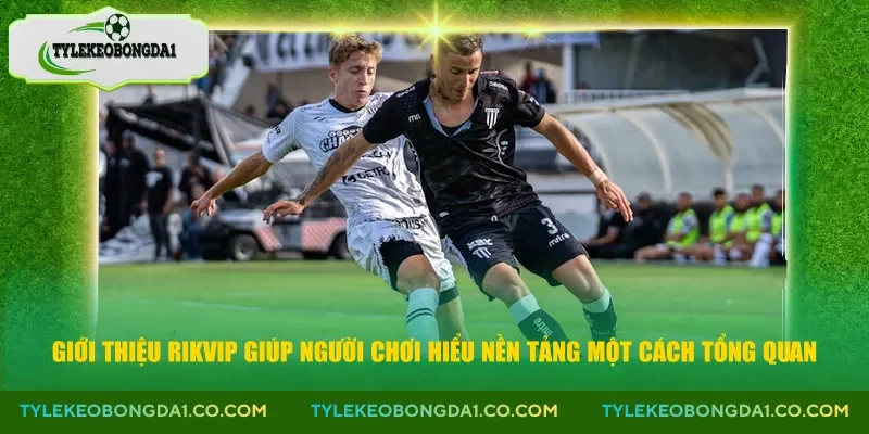 Giới thiệu Rikvip giúp người chơi hiểu nền tảng một cách tổng quan