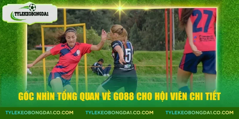 Góc nhìn tổng quan về Go88 cho hội viên chi tiết