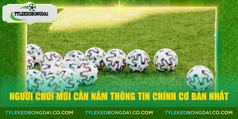 Người chơi mới cần nắm thông tin chính cơ bản nhất