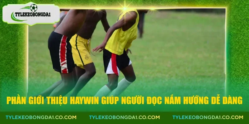 Phần giới thiệu Haywin giúp người đọc nắm hướng dễ dàng