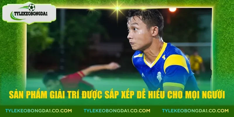 Sản phẩm giải trí được sắp xếp dễ hiểu cho mọi người