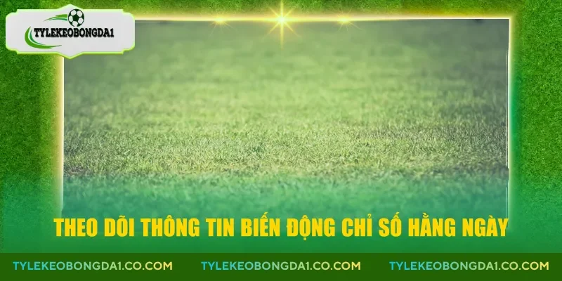 Theo dõi thông tin biến động chỉ số hằng ngày